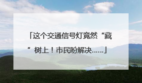这个交通信号灯竟然“藏”树上！市民盼解决……