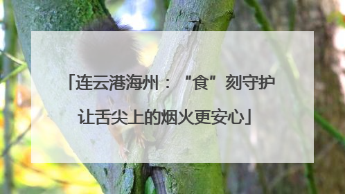 连云港海州：“食”刻守护 让舌尖上的烟火更安心