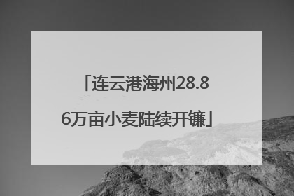 连云港海州28.86万亩小麦陆续开镰