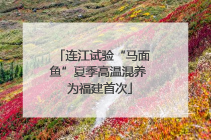 连江试验“马面鱼”夏季高温混养 为福建首次