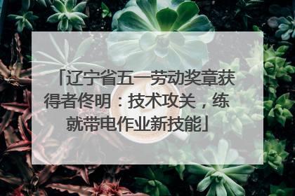 辽宁省五一劳动奖章获得者佟明：技术攻关，练就带电作业新技能