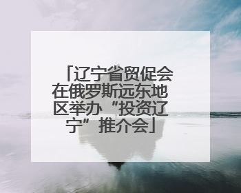 辽宁省贸促会在俄罗斯远东地区举办“投资辽宁”推介会