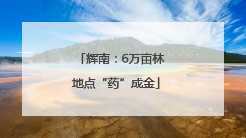 辉南：6万亩林地点“药”成金