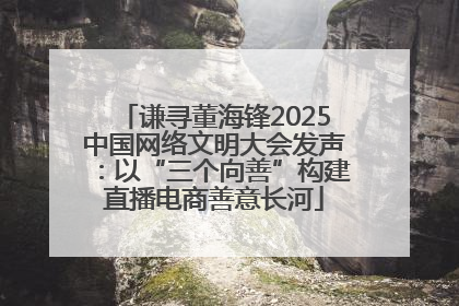 谦寻董海锋2025中国网络文明大会发声：以“三个向善”构建直播电商善意长河