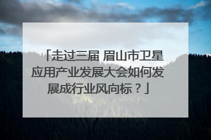 走过三届 眉山市卫星应用产业发展大会如何发展成行业风向标？