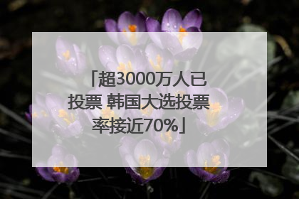 超3000万人已投票 韩国大选投票率接近70%