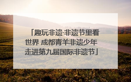 趣玩非遗·非遗节里看世界 成都青羊非遗少年走进第九届国际非遗节