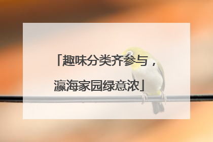 趣味分类齐参与，瀛海家园绿意浓