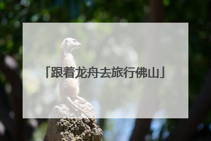 跟着龙舟去旅行佛山