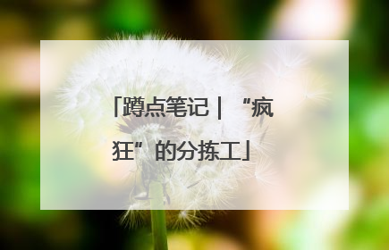 蹲点笔记｜“疯狂”的分拣工