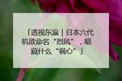 透视东瀛｜日本六代机欲命名“烈风”，暗藏什么“祸心”
