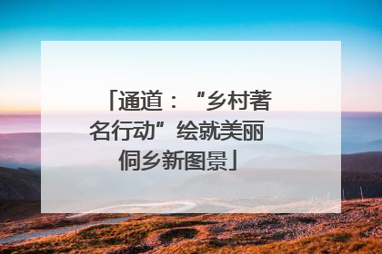 通道：“乡村著名行动”绘就美丽侗乡新图景