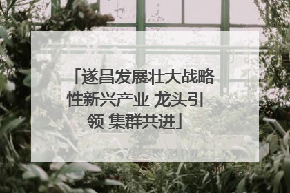 遂昌发展壮大战略性新兴产业 龙头引领 集群共进