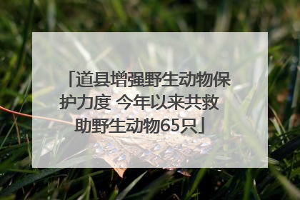 道县增强野生动物保护力度 今年以来共救助野生动物65只