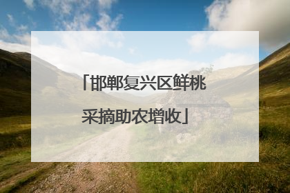 邯郸复兴区鲜桃采摘助农增收