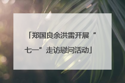 郑国良余洪雷开展“七一”走访慰问活动