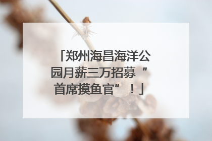 郑州海昌海洋公园月薪三万招募“首席摸鱼官”！