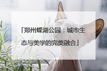 郑州蝶湖公园：城市生态与美学的完美融合