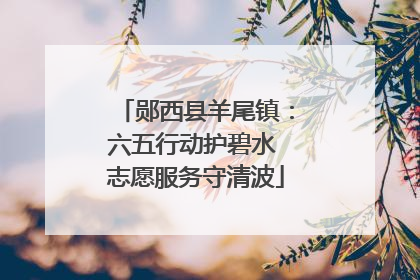 郧西县羊尾镇：六五行动护碧水 志愿服务守清波