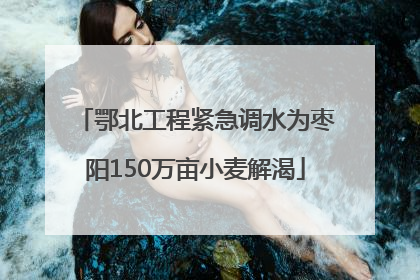 鄂北工程紧急调水为枣阳150万亩小麦解渴