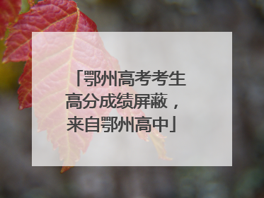 鄂州高考考生高分成绩屏蔽，来自鄂州高中