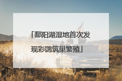 鄱阳湖湿地首次发现彩鹮筑巢繁殖