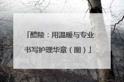 醴陵:用温暖与专业 书写护理华章(图)