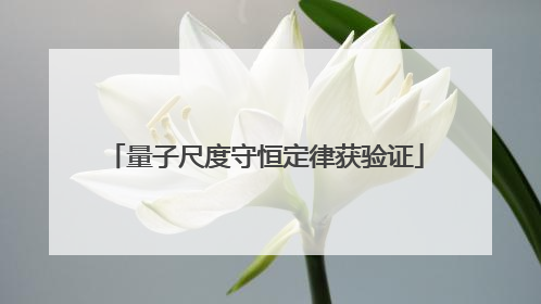 量子尺度守恒定律获验证