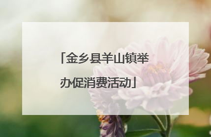 金乡县羊山镇举办促消费活动
