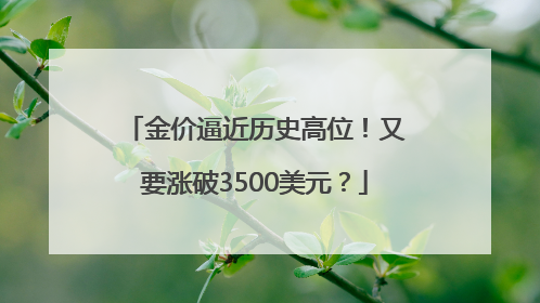 金价逼近历史高位！又要涨破3500美元？