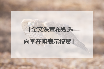 金文洙宣布败选 向李在明表示祝贺