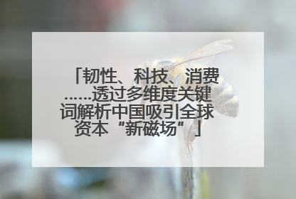 韧性、科技、消费……透过多维度关键词解析中国吸引全球资本“新磁场”