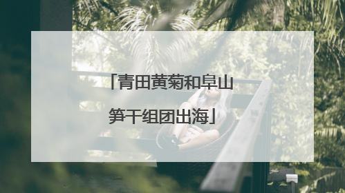 青田黄菊和阜山笋干组团出海