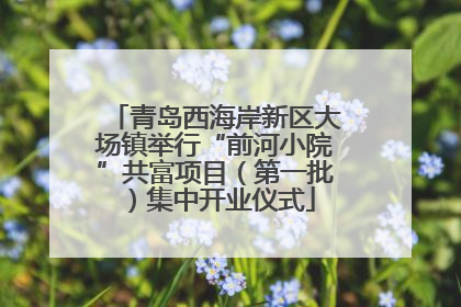 青岛西海岸新区大场镇举行“前河小院”共富项目（第一批）集中开业仪式