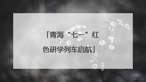 青海“七一”红色研学列车启航
