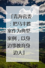 青海省委：把马丰胜案作为典型案例，以身边事教育身边人