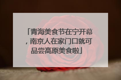 青海美食节在宁开幕，南京人在家门口就可品尝高原美食啦