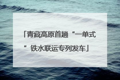 青藏高原首趟“一单式”铁水联运专列发车