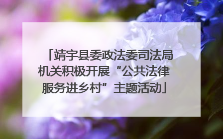靖宇县委政法委司法局机关积极开展“公共法律服务进乡村”主题活动