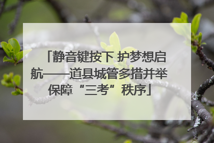 静音键按下 护梦想启航——道县城管多措并举保障“三考”秩序