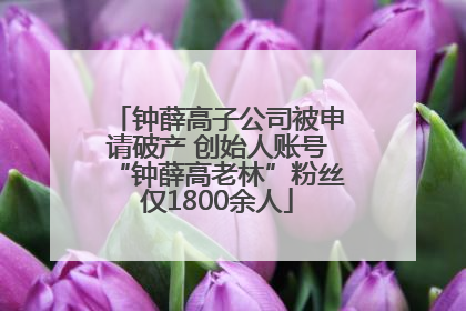 钟薛高子公司被申请破产 创始人账号“钟薛高老林”粉丝仅1800余人