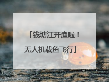 钱塘江开渔啦！无人机载鱼飞行