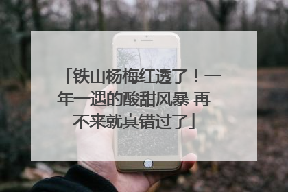 铁山杨梅红透了！一年一遇的酸甜风暴 再不来就真错过了