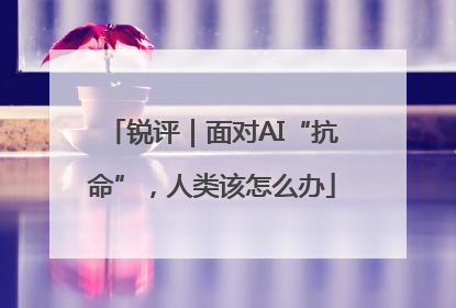 锐评｜面对AI“抗命”，人类该怎么办