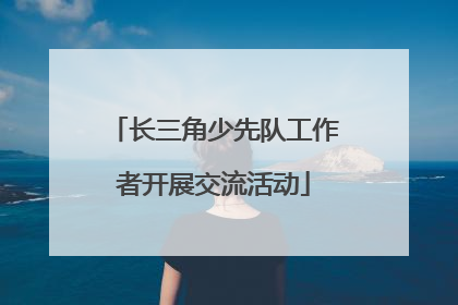 长三角少先队工作者开展交流活动