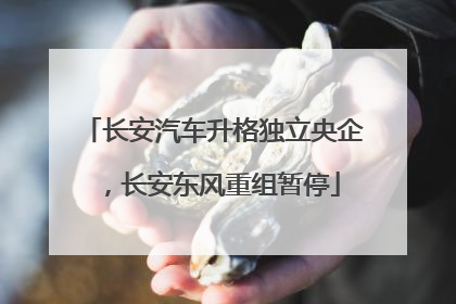 长安汽车升格独立央企，长安东风重组暂停