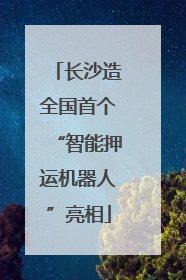 长沙造全国首个“智能押运机器人”亮相