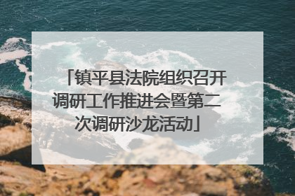 镇平县法院组织召开调研工作推进会暨第二次调研沙龙活动