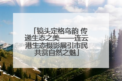 镜头定格鸟韵 传递生态之美——连云港生态摄影展引市民共赏自然之魅