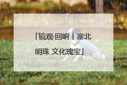 镜观·回响丨塞北明珠 文化瑰宝